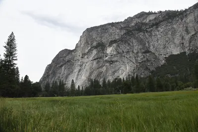 DSC_4638 (Large).JPG